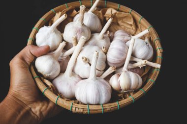 Kuru sarımsak ampuller Vietnam