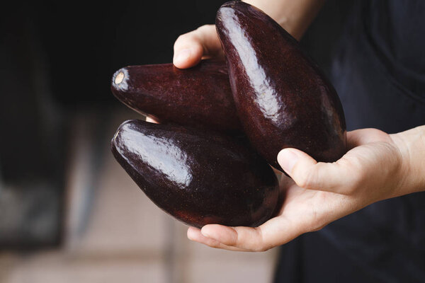 Avocado fruits from DaLat province, Vietnam