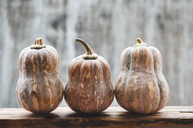 Vietnam Butternut kabak