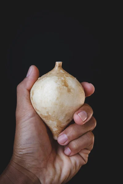 Frische Süßkartoffeln Aus Vietnam — Stockfoto