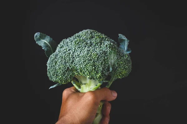 Fresh Broccolis Vietnam — Stock Photo, Image