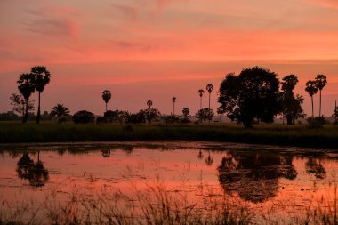 Akşamları turuncu gökyüzü.