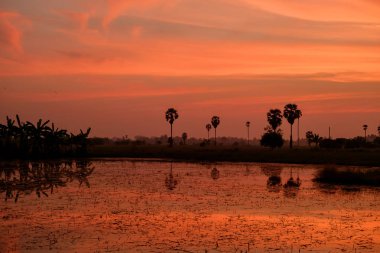 Gökyüzü günbatımı.