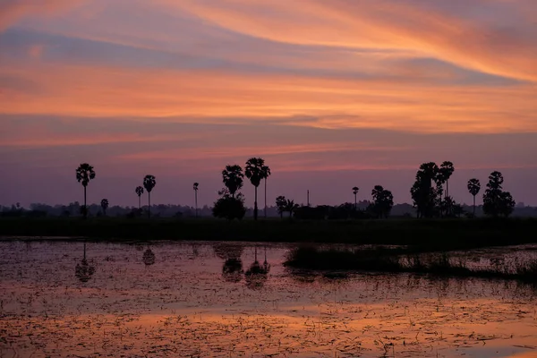 Céu do pôr-do-sol . — Fotografia de Stock