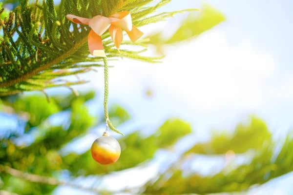 Hang ornament na Sośnie w ciepłe światło. — Zdjęcie stockowe