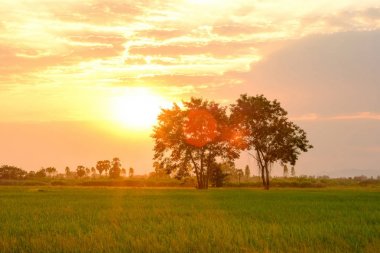 günbatımı alanı.