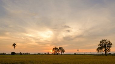 günbatımı alanı.