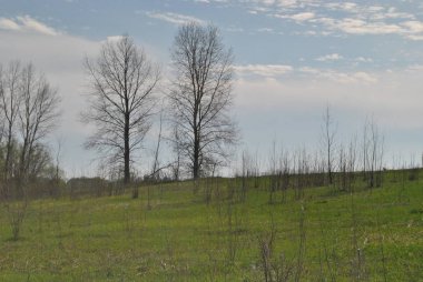 Samara şehir ufukta ile yeşil alan