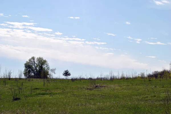 Groene weide met de stad van Samara aan de horizon — Stockfoto