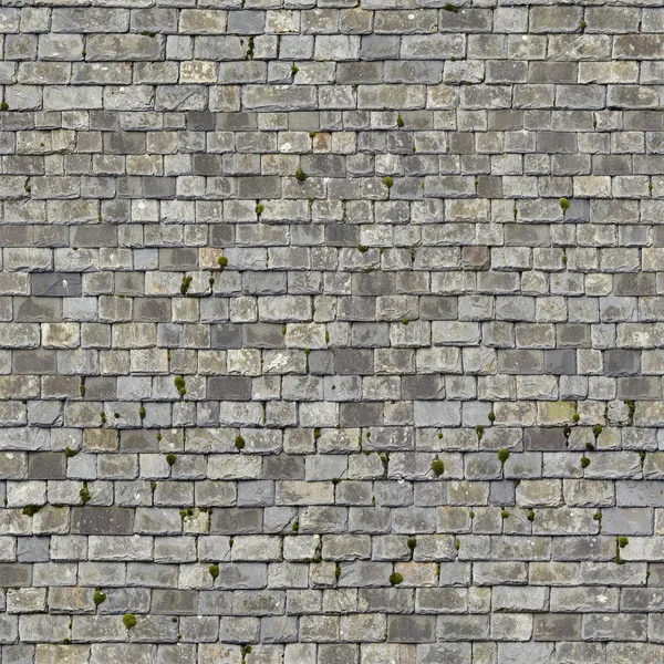 Paving. stone gray. — Stock Photo, Image