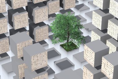 Beton bir metropol ortasında yalnız ağaç