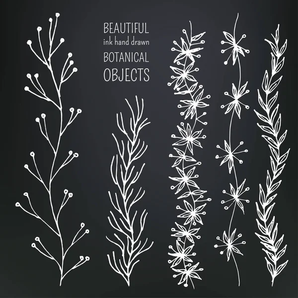 Ensemble d'objets botaniques — Image vectorielle