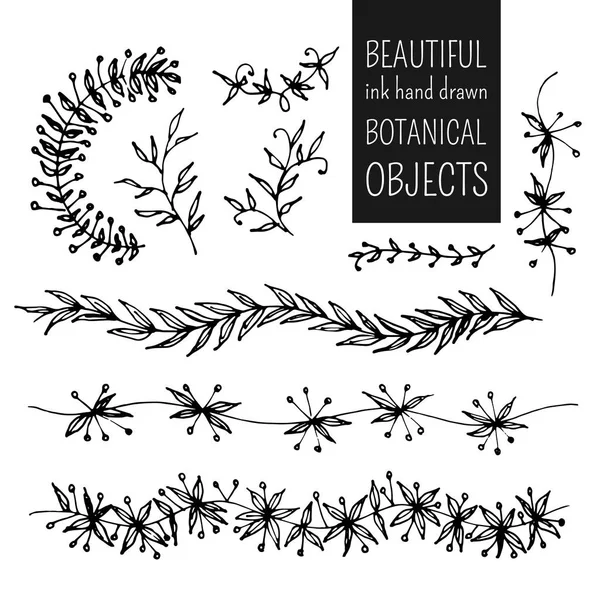 Botanikai objektumokat — Stock Vector