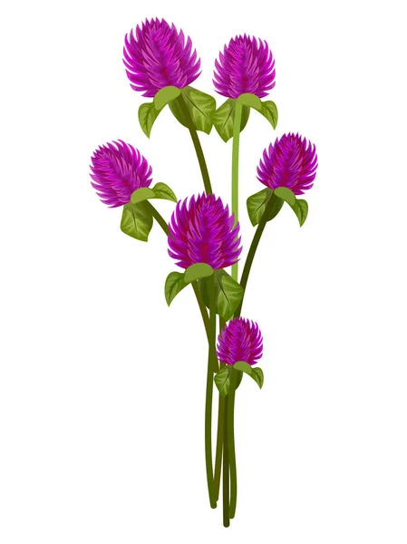 Kolorowe vintage kwiat bukiet dla projekt zaproszenia i kartki — Wektor stockowy