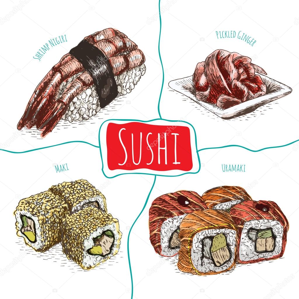 Illustration of sushi