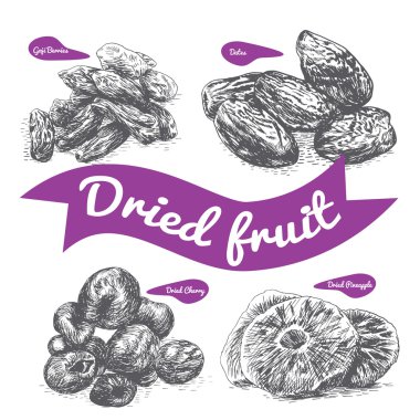 Kurutulmuş meyve illüstrasyon.