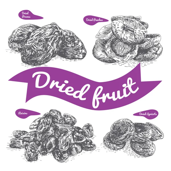 Dried fruit illustration. — Stock Vector
