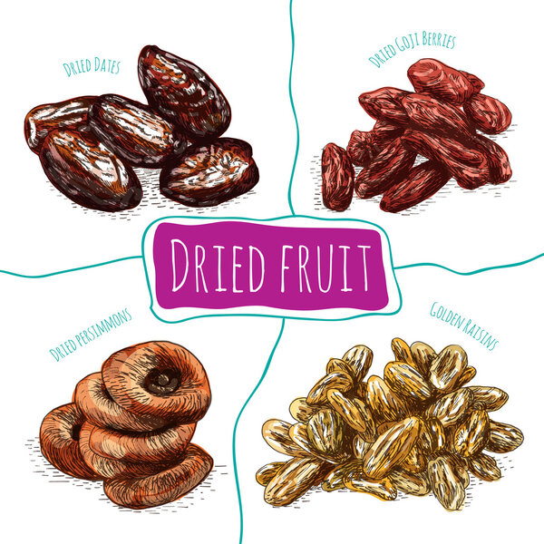Dried fruits colorful illustration.