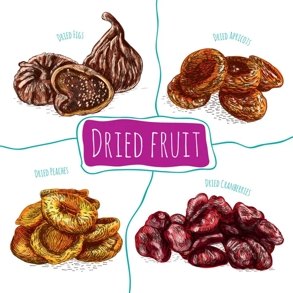 Αποξηραμένα φρούτα πολύχρωμη εικονογράφηση. — Διανυσματικό Αρχείο