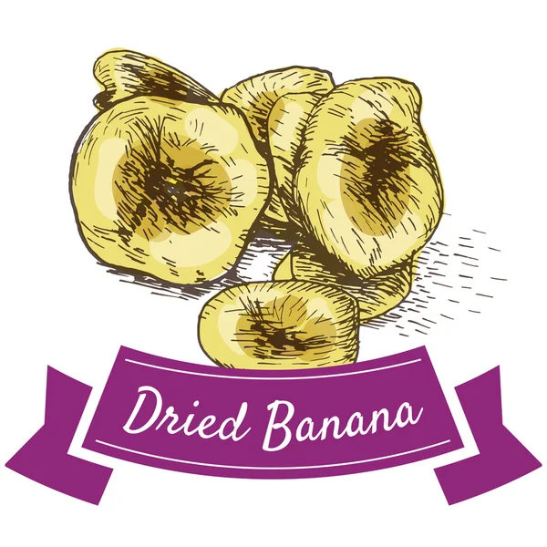 Plátano seco colorido ilustración . — Vector de stock