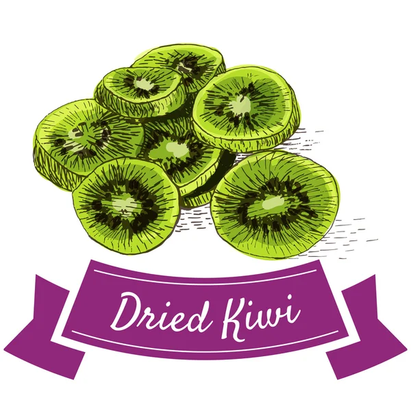Ilustración colorida kiwi seco . — Vector de stock