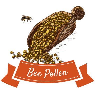 Arı polen renkli resimde.