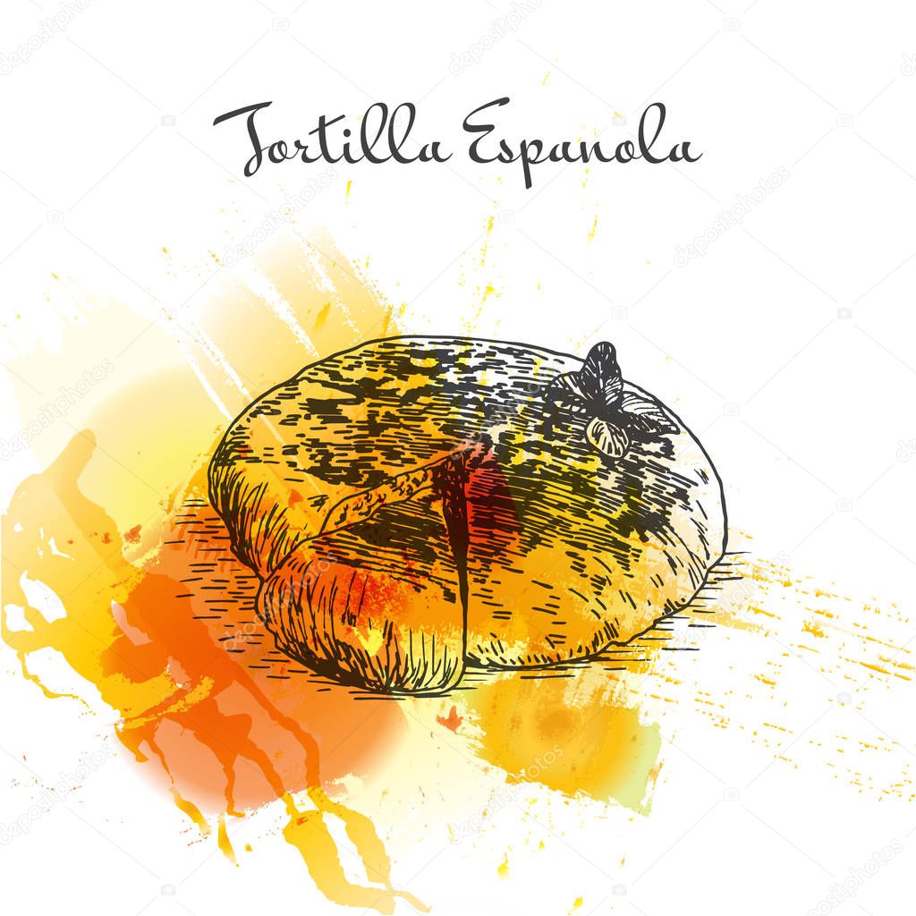 Tortilla Espanola colorful watercolor effect illustration. Stock Vector