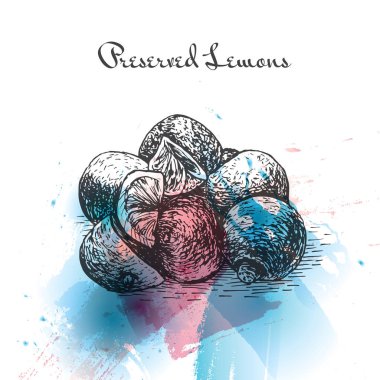 Korunmuş limon sulu boya etkisi illüstrasyon.