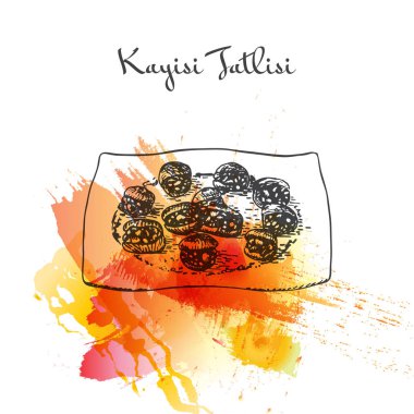 Kayısı patlıcan suluboya efekti illüstrasyon.