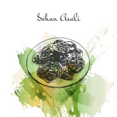 Sohan Asali watercolor effect illustration. clipart