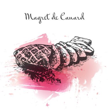 Magret de Canard watercolor effect illustration.