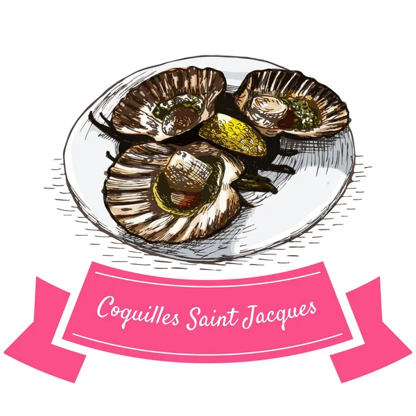 Coquilles Saint Jacques colorful illustration. — стоковий вектор