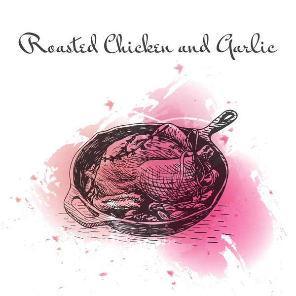 Pollo arrosto e aglio acquerello effetto illustrazione . — Vettoriale Stock