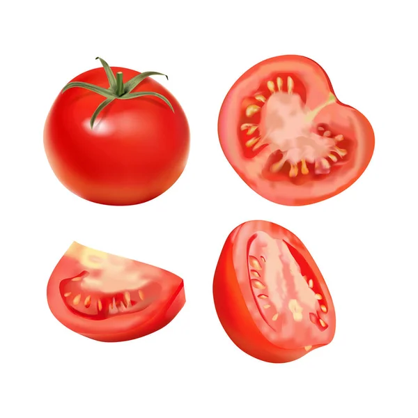 Векторная реалистичная иллюстрация помидоров . — стоковый вектор