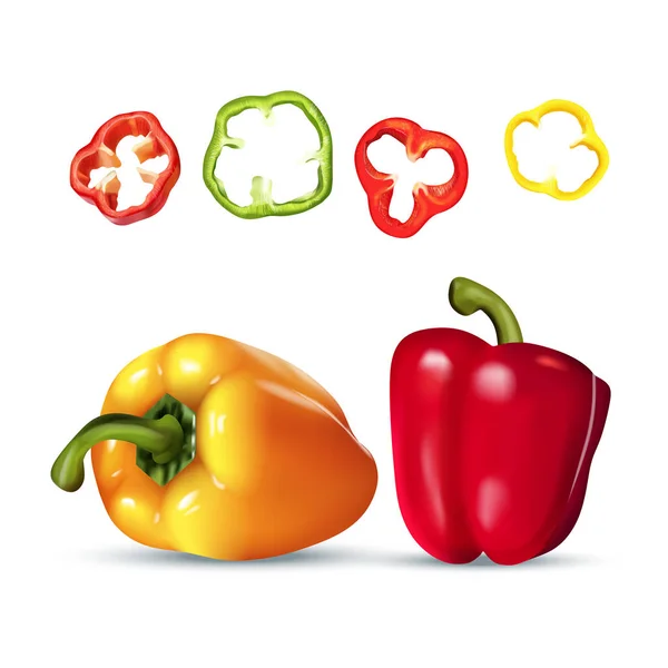 Vektor realistisk fargerik illustrasjon av paprika . – stockvektor