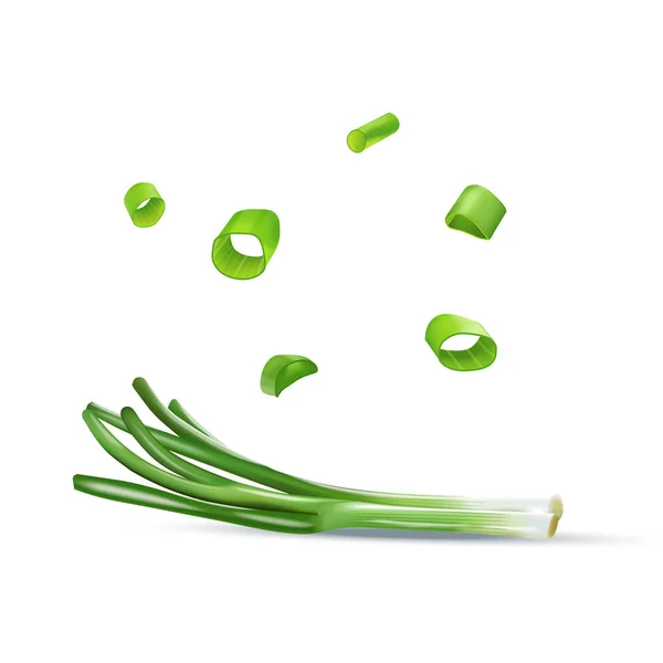 Vector realistic colorful illustration of spring onion. — Stock Vector
