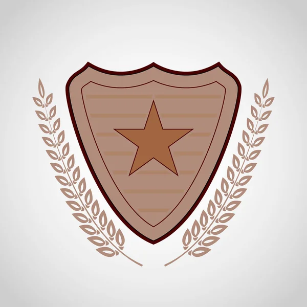 O escudo vetorial com símbolo estelar — Vetor de Stock