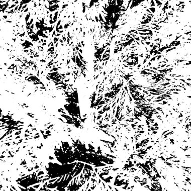Grunge sıkıntı dokusu. Vector soyut arkaplan. Siyah ve beyaz desen.