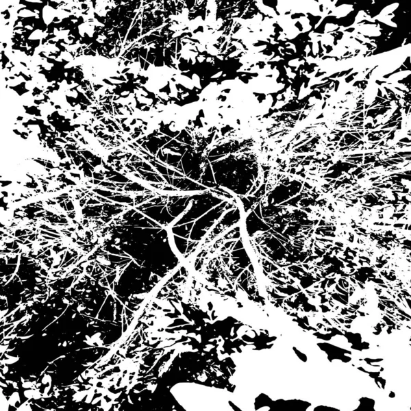 Grunge Distress Texture Vector Abstrakten Hintergrund Schwarz Weißes Muster — Stockvektor
