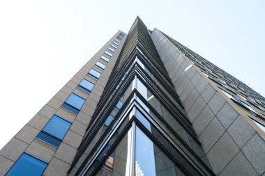 Beyaz gökyüzü, soyut karşı yüksek doğmak