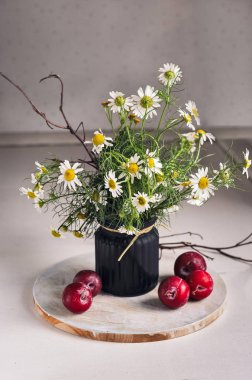 Bir taze parlak yaz kompozisyon, chamomiles, bir buket olgun Erik