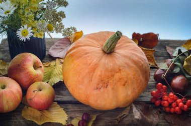 eski bir ahşap masa sonbahar yaprakları olgun elma ve kır çiçekleri küçük bir buket ile çevrili büyük bir turuncu kabak yatıyor