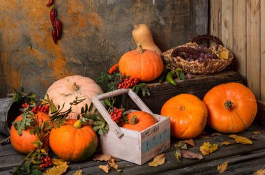 Sonbaharda hasat: Turuncu kabak, biber. Eski bir ahşap saklama odasında bir hasır sepet üzüm