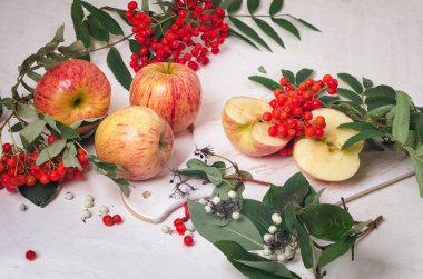 Beyaz ahşap zemin ve yeşil yaprakları Kırmızı elma ile bir beyaz tahta backgroundbranches dağ kül üzerinde kırmızı elma ile dağ kül dallarında