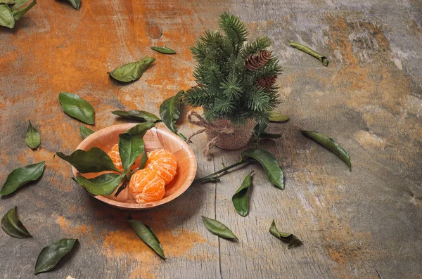 Dish with peeled mandarins and a small green herringbone — Stock Photo, Image
