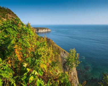 Sonbahar deniz manzarası. Pelerin okyanusun üzerinde sarkan çimlerle kaplıdır.