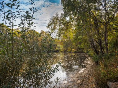 Güneşli bir sonbahar gününde, sararmış ağaçların arasında sessiz bir göl