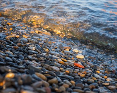 Pasifik Okyanusu 'nun sularıyla yıkanmış deniz çakıl taşları, güneşli bir günde.,