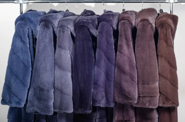 Gama de exposições de casacos de vison para produtos de peles de loja de catálogo — Fotografia de Stock