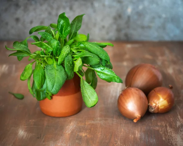 小菠菜放在泥锅里 洋葱放在木制的褐色桌子上 风格简朴 — 图库照片